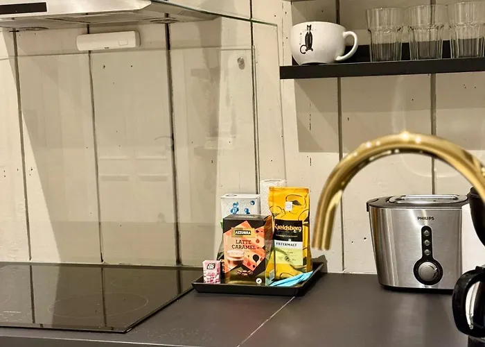 The Viking Dream 斯塔万格