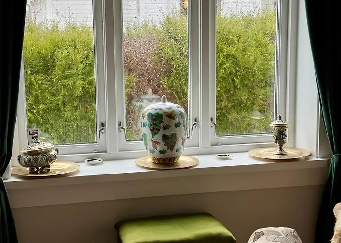 公寓 The Viking Dream