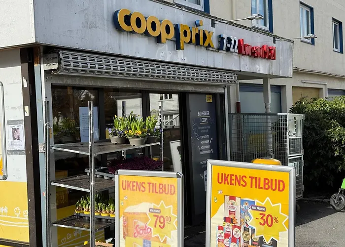 The Viking Dream Apartament Stavanger